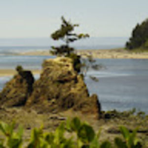 Meet your Posher, Tom